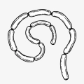 10.png